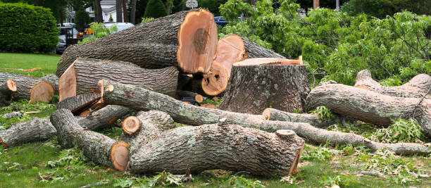 Lawn Maintenance Plans in Brookridge, FL